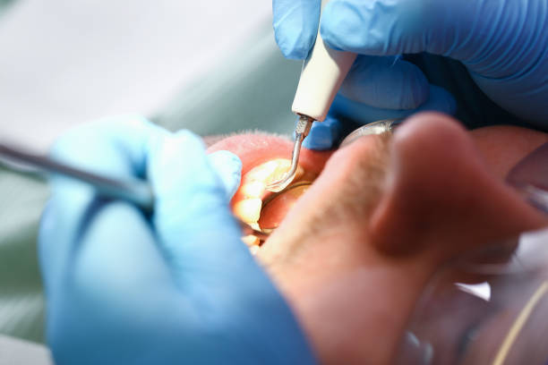 Best Weekend Emergency Dentist in Harbor Springs, MI
